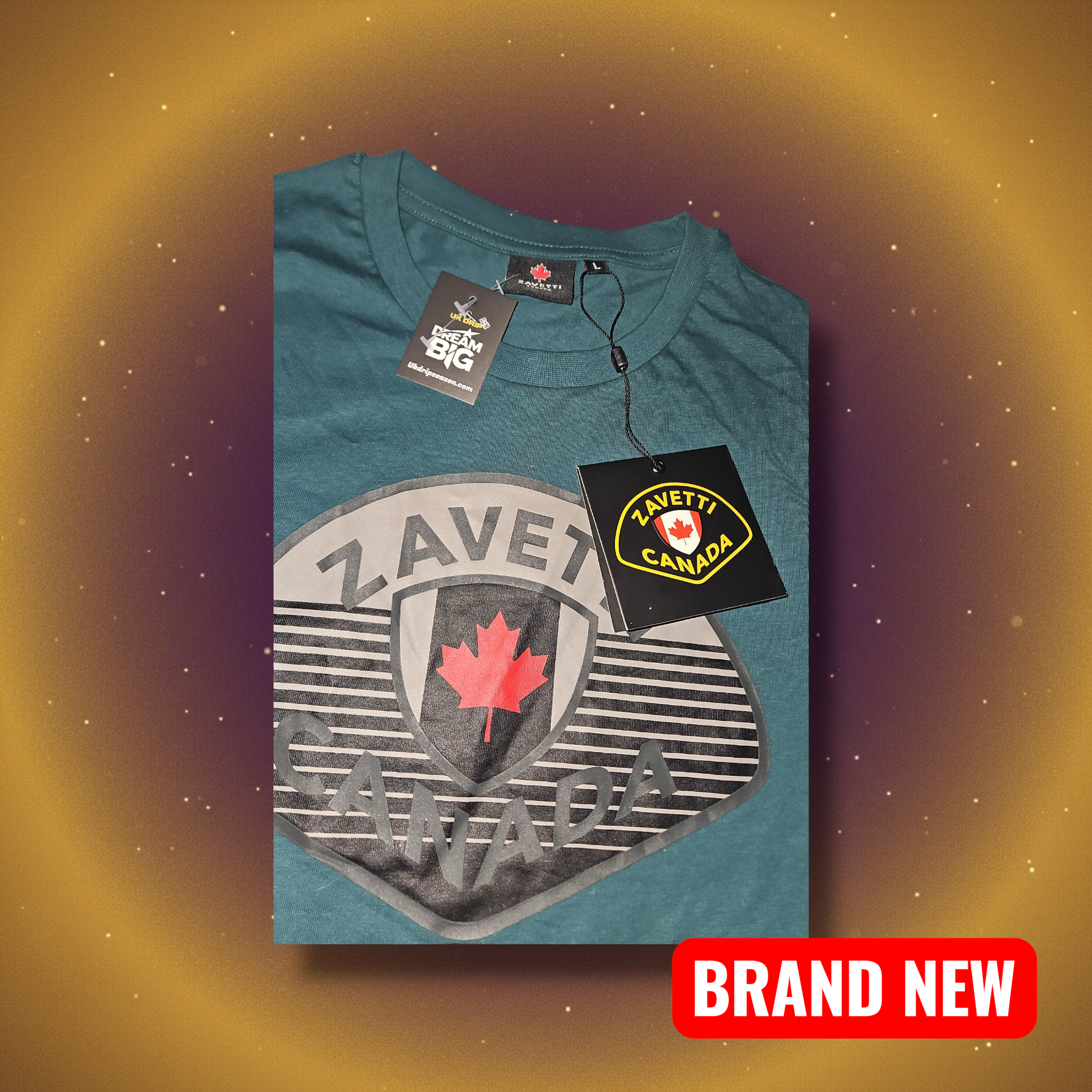 Zavetti Canada T-Shirt BNWT in Seafarer Teal - Size L